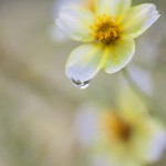 大地震が来る前に耐震診断調査と耐震補強で慌ててやってはダメなことは！