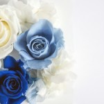 陸屋根ルーフドレンの正しい取付け方と悪い取り付け方の違いはコレ！