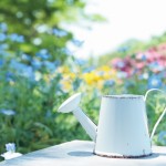 収益不動産の賃貸マンションの高利回りになる原状回復方法はコレ！