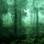 建物寿命を延ばす為に大地震に備える耐震補強よりも大切なことはコレ！