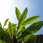 RC鉄筋コンクリート建物の手抜工事による倒壊する危険性の原因とは