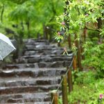 鉄筋コンクリート建物の短い工期と建物の劣化状態の最悪な関係とは