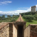 分譲マンションの長期修繕計画に基づく大規模修繕工事の点検調査はコレ！