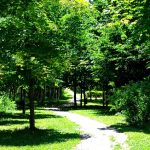 リフォーム会社選びで失敗して契約解除の相談が増えている理由！