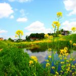 ✔「外断熱」と「内断熱」の熱効率や光熱費削減の効果の違いはコレ！▶