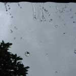台風対策②