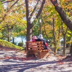 リフォーム比較サイトの目に見えないデメリットとは②