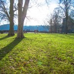 タイル貼り建物の外装リフォームと４５二丁タイルの目地割りのウラ話！