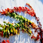 木造の外壁タイルが浮いて外装リフォームが必要となる3つの原因とは!