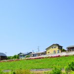 屋上防水工事のフッ素トップコートと遮熱トップコートの防水性のネタばらし